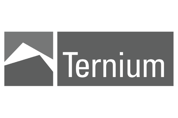 Ternium.png